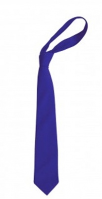 Newland Spring Year 6 Tie